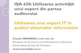ISA 620: Utilizarea activității unui expert din partea ... · PDF fileproceselor financiar-contabile şi de gestiune 3. Determinarea necesităţii utilizării serviciilor unui auditor