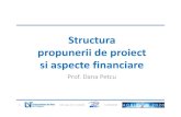 Structura propunerii de proiect siaspectefinanciarehost.hpc.uvt.ro/wp-content/uploads/2013/12/Info-Day-Structura... · • Consistadin activitati cu scopul de a ... tehnologii, produs,