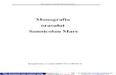 Monografia orasului Sannicolau Mare - BIBLIOTECA ON · PDF fileMonografia oraşului Sânnicolau Mare 1 Monografia orasului Sannicolau Mare Inregistrata cu codul ISBN 973-0-05147-6