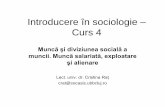 Introducere în sociologie Curs 4 · PDF file• Munca este o relaţie socială ce conferă identitate socială. ... această forţă de muncă pentru o zi, o săptămână, o lună