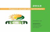 Raport anual de activitate - asociatia-asura.ro · PDF fileECHIPA ... filiale sau puncte de lucru. ... iar pentru stabilirea obiectivelor și în organizarea administrativă sunt valabile: