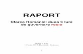 RAPORT -   · PDF fileEste pentru prima oara in istoria Romaniei cand o politica fiscala este asumata public atat de guvern cat si de PSD cu un cinism revoltator