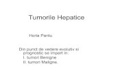 Tumorile Hepatice - Seria 7seria7.weebly.com/uploads/4/0/8/5/4085189/tumorile_hepatice.pdf · benigna hepatica (dupa hemangioame). ... (mai rar multiple) ... hepatice benigne si devin