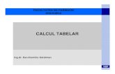 CALCUL TABELAR - umfcv.ro · PDF fileUn program de cacul tabelar este Office Excel 2007. 1.1. Defini ţii 1.2. Organizare ... Ex.: =YEAR(26.12.2013) returneaz ă 2013. 3. Func