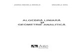 ALGEBRĂ LINIARĂ ŞI GEOMETRIE ANALITICĂarsacademica.ro/images/pdf/30_gr-ghic_algebra-liniar_a_verificat.pdf · Geometrie analitică în plan (bidimensională) ... Operaţii cu