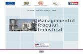 Managementul - ISIM · PDF fileProiect "Formare în Managementul Riscului Industrial - MIS ETC COD 1416" finanţat în cadrul Programului de Cooperare Transfrontalieră IPA România
