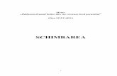 SCHIMBAREA -   · PDF filesovietice de spionaj din România, înainte de începerea războiului 169 6.4.4.1.1. Depoziţia generalului Ştefan Kosztyal în faţa Comisiei