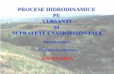 PROCESE HIDRODINAMICE PE -  · PDF filecaracteristicile fizico-mecanice ale depozitului superficial, de covorul vegetal şi în ... Elementele morfometrice ale torentului