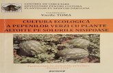 · PDF fileTehnologia intensivä de cultivarea a pepenilor verzi prin altoire pe solurile nisipoase Cultura pepenilor verzi ecologici (biologici) în tara noasträ