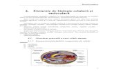 4. Elemente de biologie celulară şi moleculară · PDF fileBioinformatica 1 4. Elemente de biologie celulară şi moleculară O caracteristică esenţială a materiei vii este reprezentată