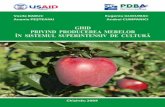 Vasile BABUC Eugeniu GUDUMAC - PEPINIERA VOINEȘTI · PDF file1250 pomi/ha) ceea ce asigură obţinerea unor producţii înalte de calita-te superioară, talia redusă a pomilor (2,2-2,5