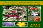 KEFAG ZRT. Pepiniera Juniperus CATALOG DE PRE˜ · PDF filecomercializăm pomi fructiferi, plante perene şi puieţi forestieri, iar din primăvara anului 2011 am dezvoltat oferta
