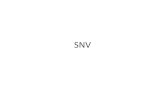 SNV -   SNV2016.pdf · PDF fileOrganizarea sistemului nervos central Sistemul nervos central Sistemul nervos periferic Sistemul nervos vegetativ Sistemul nervos somatic Simpatic
