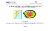 ELABORAREA HARTILOR DE ZGOMOT SI A · PDF file25 iunie 2002 de realizare a hartilor de zgomot si a hartilor strategice de ... Documentele legislative care constituie elementele de