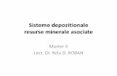 Sisteme depozitionale resurse minerale asociate - · PDF file• O cantitate specifica masurata de nisip este pusa intr-o solutie constand in 12 parti HCl si 3 parti HF, la temperatura