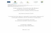 Universitatea Transilvania din Brasov - webbut.unitbv.rowebbut.unitbv.ro/teze/rezumate/2011/rom/CalinMariusDaniel.pdf · ministerul educaŢiei, cercetarii, tineretului Şi sportului