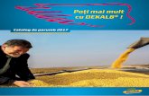 Poţi mai mult cu DEKALB - Acasă - · PDF fileAdâncimea de semănat şi răsărirea uniformă a porumbului ... producţii ridicate la cultura de porumb. ... producţie din fermă