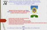 INSTITUTUL NATIONAL DE CERCETARE - AgriCultura  · PDF fileDEZVOLTARE pentru CULTURA PLANTELOR pe NISIPURI DABULENI. ... Tehnologia pentru. ... porumbului (însămânțarea