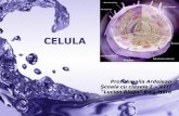 Purple Water Flow - BluePink.roeuinvat.bluepink.ro/wp-content/uploads/2011/07/celulaumana.pdf · Page 1 CELULA Prof. Amalia Ardelean Şcoala cu clasele I –VIII “Lucian Blaga”