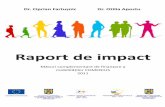 Raport de impact -  · PDF fileÎn mod concret, prin noul proiect s‐a urmărit creșterea ... Acțiunea Comenius, cât și a gradului de realizare a unor