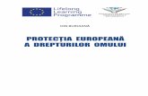 ION BURUIANĂ - studiieu.orgstudiieu.org/files/publications/Ion Buruiana.pdf · Izvoarele convenționale ... instituit în cadrul Uniunii Europene ... calitatea de subiect al dreptului