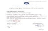 Titular: SC LINDE GAZ ROMANIA SRL Fabrica de acetilen …apmgl-old.anpm.ro/files/ARPM Galati/AIM/Emise/1-16.02.2010... · 10. CONCENTRATII DE POLUANTI ADMISE LA EVACUAREA IN MEDIUL