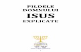 PILDELE DOMNULUI ISUS · PDF file1 PILDELE DOMNULUI ISUS EXPLICATE Calea Creştină 2015 – Arad