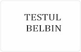 TESTUL BELBIN - profs.info.uaic.ronicky/cursuri/Curs IV.pdf · Testul Belbin -scorare Punctaj mic Punctaj mediu Punctaj mare Punctaj maxim I 0-6 7-11 12-16 17-23 C 0-6 7-10 11-13