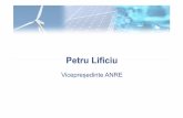 Energia regenerabila Rentabilitatea sectorului energiei ... · PDF fileDistributia potentialului surselor de energie regenerabila Potentialul national al SRE I. Delta Dunarii (solar);