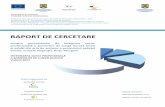 RAPORT DE CERCETARE ț -  · PDF fileAcest RAPORT DE CERCETARE a fost publicat în cadrul proiectului: “PROŞANSA – Program de promovare şi implementare a