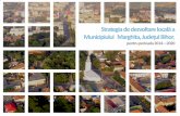 Strategia de dezvoltare locală a Municipiului Marghita ...marghita.ro/wp-content/uploads/2014/01/aici1.pdf · lui „Asistență în elaborarea de strategii de dezvoltare locală