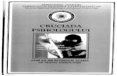 · PDF fileMINISTERUL JUSTITIEI ADMINISTRATIA NATIONALÅ A PENITENCIARELOR Serviciul Expertizå Psihologicä Evaluare Profesionalå CRUCIADA PSIHOLOGULUI