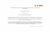 Colaborarea romano-germana in protectia mediului · PDF fileColaborarea romano-germana in protectia mediului Raport final Referitor la Proiectul bilateral: Sprijinirea autoritatii