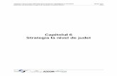 Capitolul 6 Strategia la nivel de judet - site.judbrasov.rosite.judbrasov.ro/userfiles/06_Cap 6 Strategia la nivel de judet.pdf · este responsabil pentru implementarea politicii