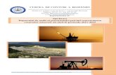 CURTEA DE CONTURI A ROMÂ · PDF fileSinteza Raportului de audit al performanţei privind concesionarea resurselor minerale ale ţării Pagina 1 din 116