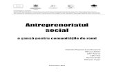 Antreprenoriatul social - ies.org.ro · PDF fileTermenul „antreprenor soial” a fost sos în evidenţă în mod deose it de fundaţii şi organizaţii ameriane, um ar fi Ashoka4,