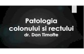 Patologia colonului si rectului - dr. Dan · PDF fileVolvulusul de colon sigmoid Rasucire organo-axiala a sigmoidului si mezocolonului sau Factori favorizanti-anatomic-regim alimentar