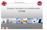 Grupuri termice in condensatie CGW - romwolf.euromwolf.eu/p2/a_33_d_27_1296134917065_wolf_grup_termic_mural_cg… · Grupuri termice in condensatie CGS / CGW 22 Centrala in condensatie
