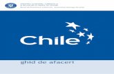 ghid de afaceri - dce.gov.ro · PDF fileMediul de Afaceri nu îşi asumă răspunderea pentru eventualele neconcordanţe sau erori ... Chile şi-a asumat roluri importante în plan