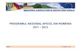 PROGRAMUL NAŢIONAL APICOL DIN ROMÂNIA 2011 – …old.madr.ro/pages/pna/pnar-romana.pdf · Temeiul Legal •art. 105-110 din secţiunea VI "Dispoziţii speciale privind sectorul
