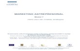 MARKETING ANTREPRENORIAL - ccisalaj.roccisalaj.ro/proj/modul7.pdf · Conţinutul şi structura planului de marketing ... Marketingul este un proces managerial ... specifice activităţii