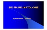Capilaroscopia de la teorie la practica -  · PDF filereumatologie, medicinainterna, dermatologie. Proiectede cercetareFP4 in curs