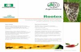 Rootex -  · PDF filesi recuperare a plantelor dupa transplantare, dezvoltarea omogena a acestora, ... umiditatea, nutritia, diverse boli, Ph alcalin al solului, etc