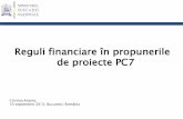 Reguli financiare in propunerile de proiecte PC7  · PDF filePentru ambele optiuni, ratele de schimb sunt satabilite zilnic de catre Banca Centrala Europeana (ECB):