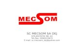 SC MECSOM SA DEJ - Constructii si confectii metalice ...mecsom.ro/wp-content/uploads/2015/08/Prezentare-Mecsom-SA-Dej.pdf · Fondata in 1998 cu obiectul principal de activitate Constructiile