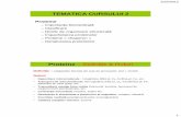 TEMATICA CURSULUI 2 - voifidoctor · PDF file2/25/2012 2 Proteine - Clasificare I. Funcţie de localizare – Intracelulare: membranare, citoplasmatice, ribozomale, lizozomale, nucleare