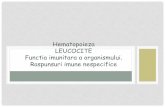 Hematopoieza LEUCOCITE Functia imunitara a · PDF fileHematopoieza- Eritropoieza •Maduva osoasa rosie- retea de tesut conjunctiv reticular- cuprinde celule vasculare imature, macrofage,