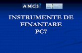 INSTRUMENTE DE FINANTARE PC7 - · PDF filegama de instrumente, ... după fiecare perioadă de raportare Plata finală de la sfîrşitul proiectului pentru ultima perioadă de raportare,