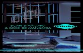 SCARI STANDARD & SCARI DE MANSARDA - Universal · PDF filemetalice sunt acoperite cu strat de protectie argintiu sau negru, mana curenta din aluminiu cu acoperire decorativa ce imita