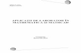APLICAȚII DE LABORATOR ÎN MATHEMATICA ȘI …iulianaiatan.synthasite.com/resources/cartenoua.pdf · L1.1.1. Introducere în Mathcad ... Nume operator Forma algebrică Forma Matlab